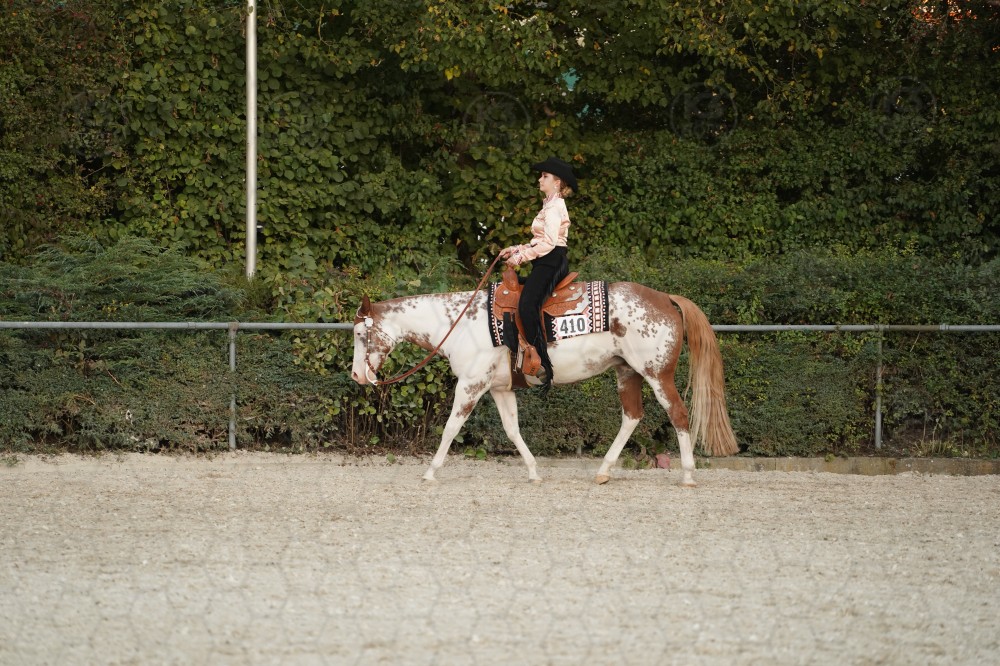 s_A_907012.JPG